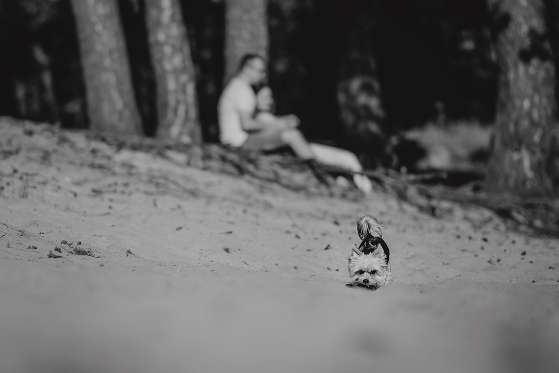 Sesja narzeczeńska Mileny & Kamila 7