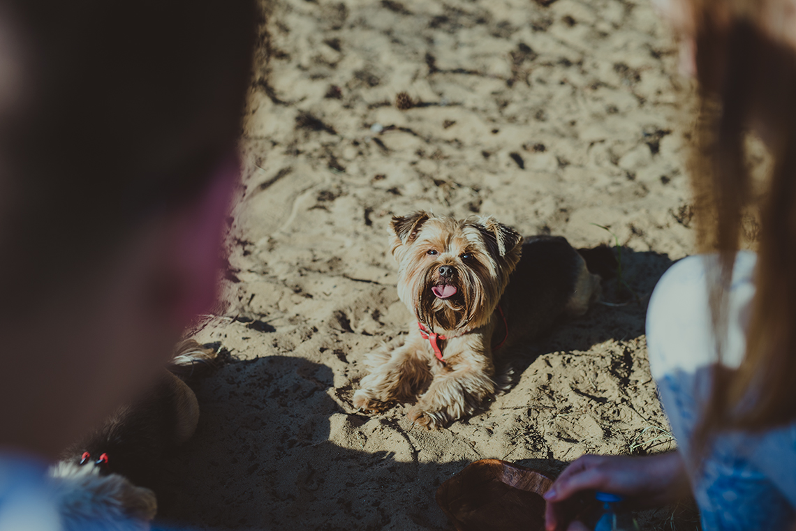 Sesja narzeczeńska Mileny & Kamila 11