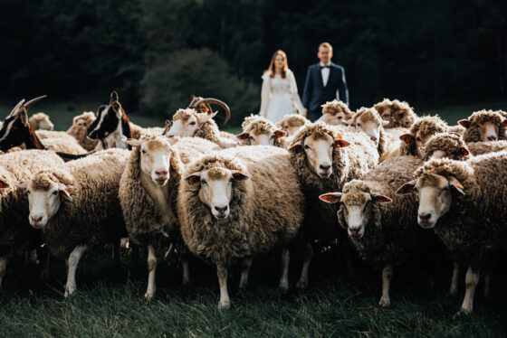 fotografia rustykalna kielce