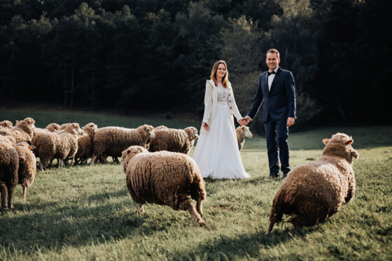 rustykalne zdjęcia kielce