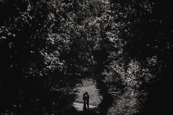 fotografia ślubna kielce