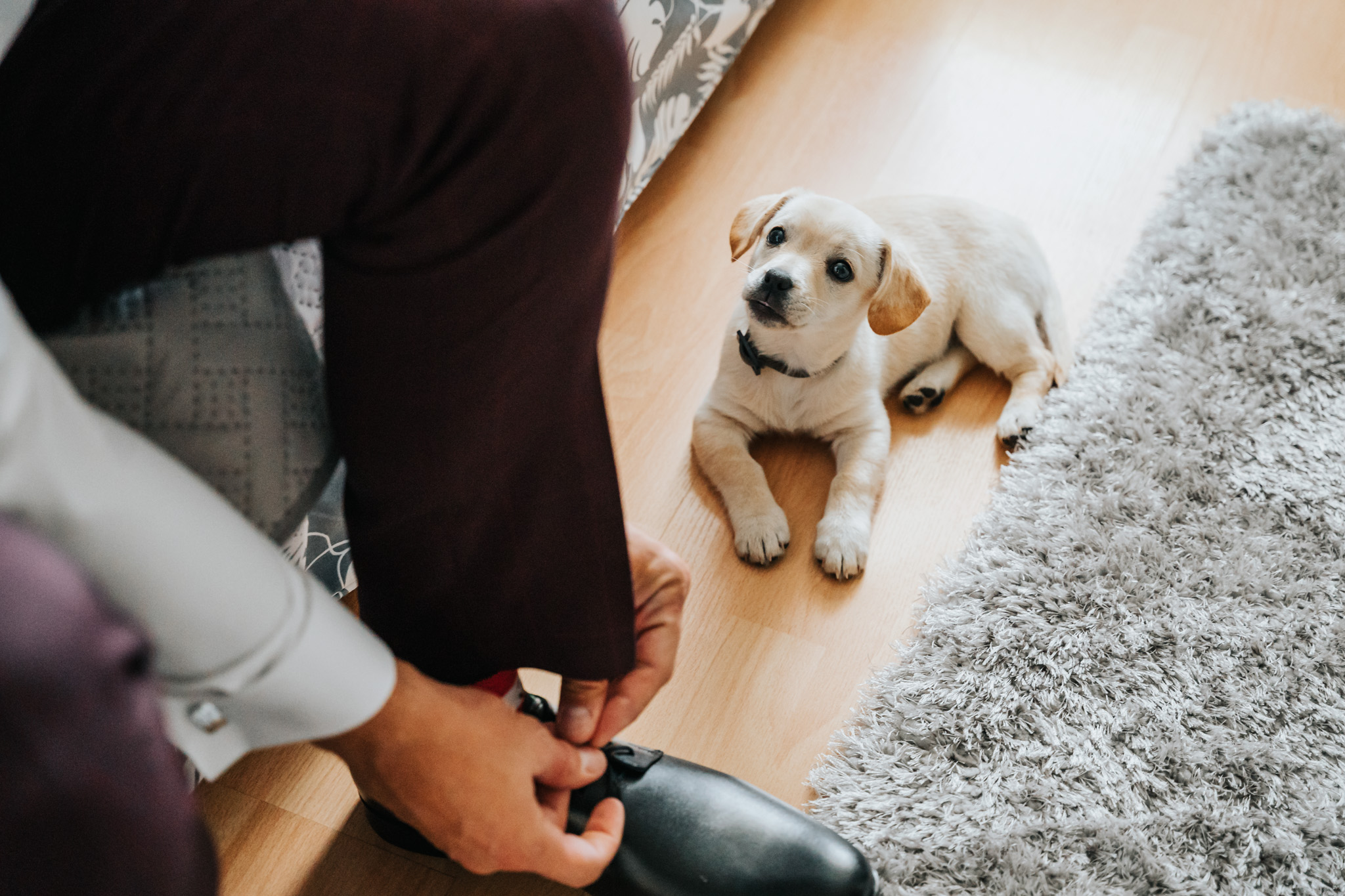 Ślub w czasie pandemii. 7