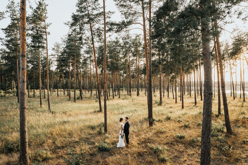 Nic nie zapowiadało takiego wesela... 172