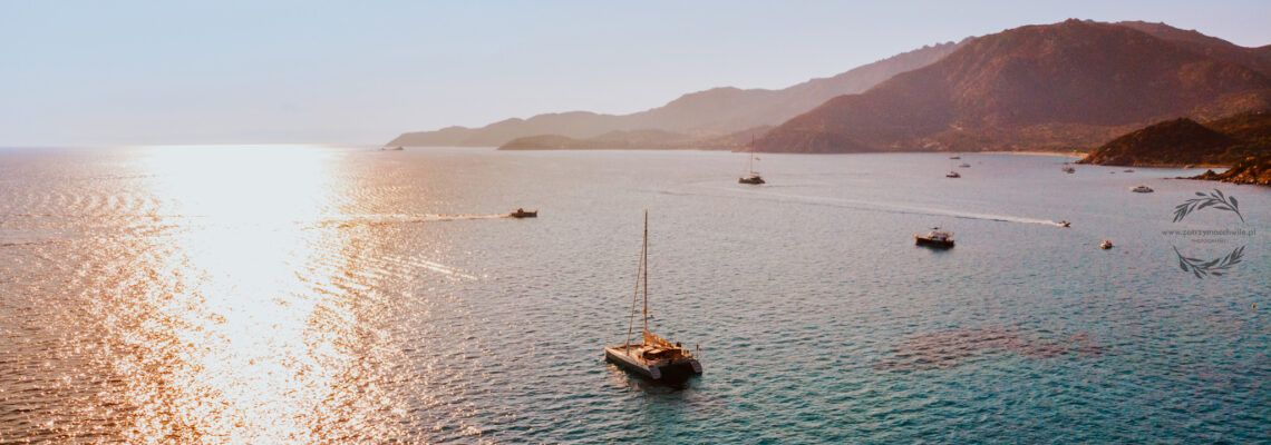 Zabezpieczone: Karolina & Janusz – zajawka :)