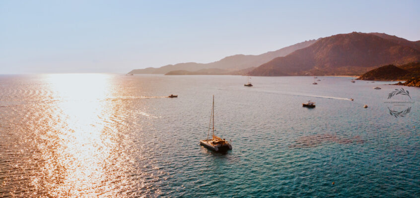 Zabezpieczone: Karolina & Janusz – zajawka :)